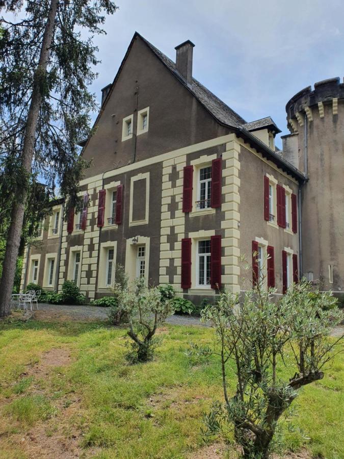 Chateau De Viviez Экстерьер фото